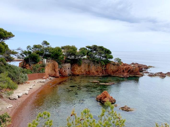 Appartement Vue Mer Domaine Arbore Saint-Raphaël Eksteriør billede